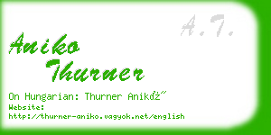 aniko thurner business card